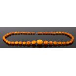 Art Deco Amber necklace, with a row of graduated beads from 11mm wide to 30mm wide, 72.1 grams, 86cm