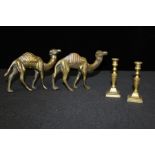 Pair of Middle Eastern camels, with inlaid script to the camels humps, together with a pair of brass