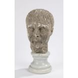 Grand Tour style plaster head, depicting a classical gentleman, mounted on a marble plinth base,