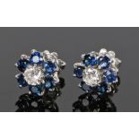 Pair of 18 carat white gold diamond and sapphire set earrings, in the form of flower heads with a