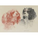 Norman Hoad, Cavalier King Charles Spaniels, signed pencil and chalk studies, housed in a gilt and