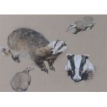 Marianne Gaunt, "Young Male Badger", signed pastel studies, housed in a glazed dark stained frame,