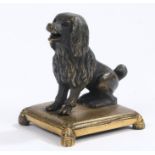 Regency bronze seated spaniel, on a gilt cushion form base, 7cm high