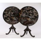 Pair of Victorian black lacquer and mother of pearl occasional tables, the circular tilt tops