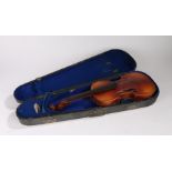 Full sized violin with a two piece back and case