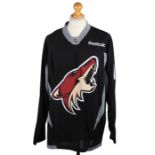 Ed Sheeran's Reebok Arizona Coyotes NHL hockey shirt, named Sheeran to the reverse and numbered