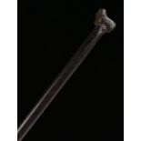 Unusual 19th Century walking cane, the handle carved with a beast above the tapering stick, 88cm