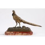 Henri Emile Adrieu Trodoux, bronze pheasant, signed to base, raised on a chamfered marble plinth,