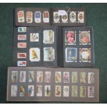 Four cigarette card albums containing a quantity of cigarette cards (4)