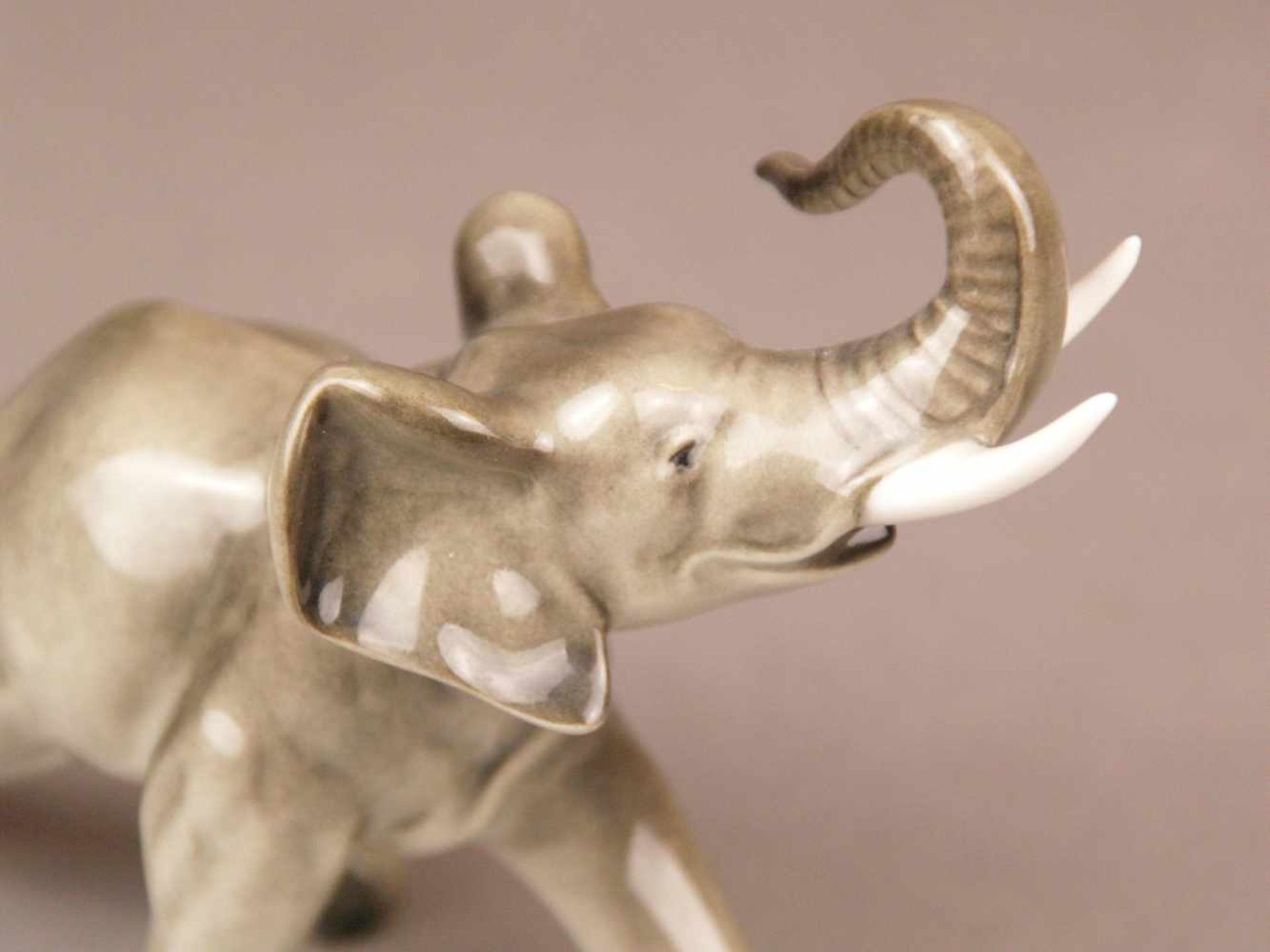 Porzellanfigur "Elefant" - Hutschenreuther, Entwurf von Karl Tutter, schreitender Elefant mit - Bild 3 aus 7