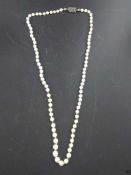 Perlenkette - Perlen von milchweißer Färbung im Verlauf, Einzelknotung, Verschluss Weißgold 585,
