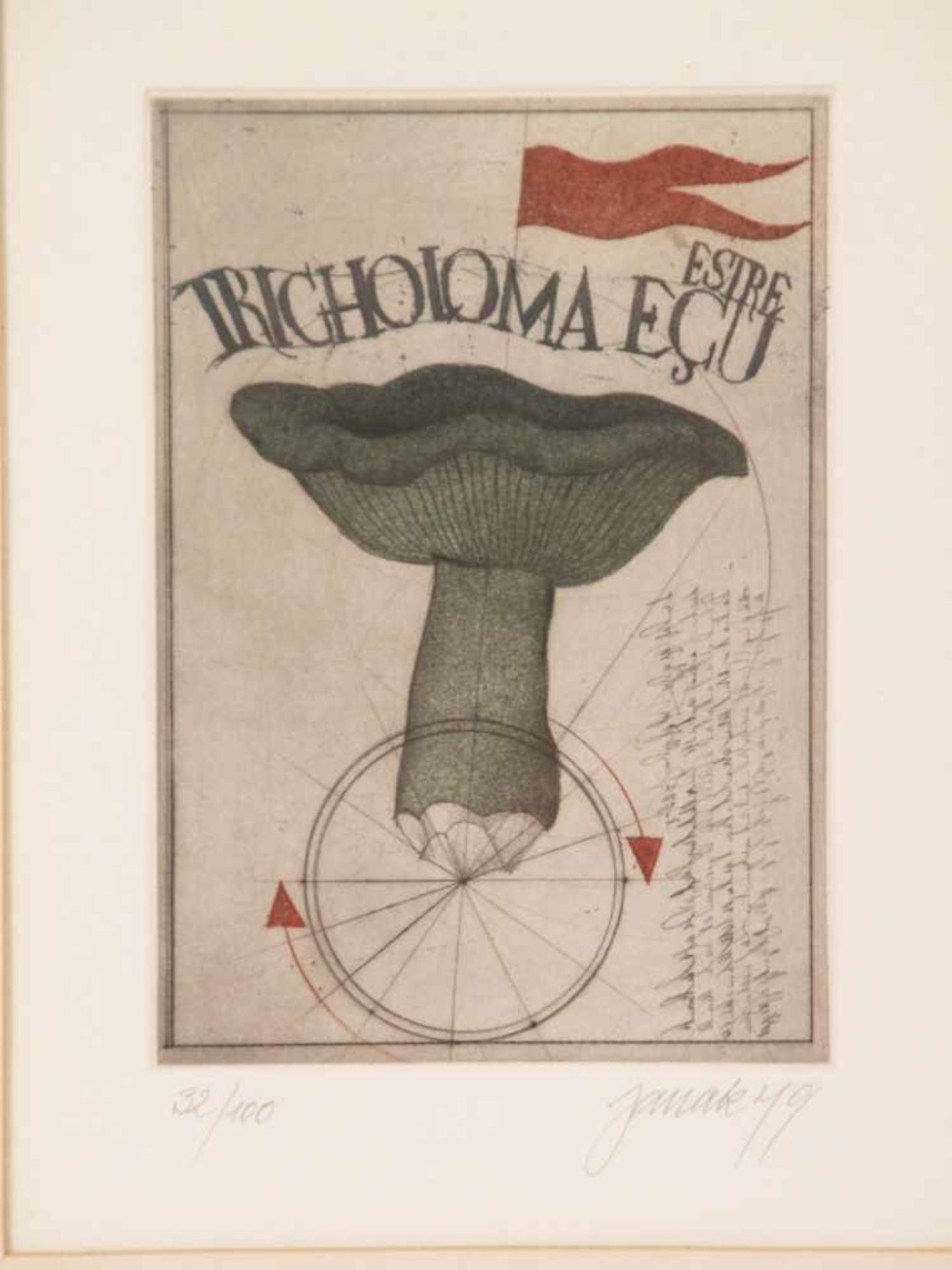 Janak, Alois (* 1924 Schönpriesen/Elbe, lebt und arbeitet in der Schweiz) - "Tricholoma", 1979, - Bild 2 aus 3