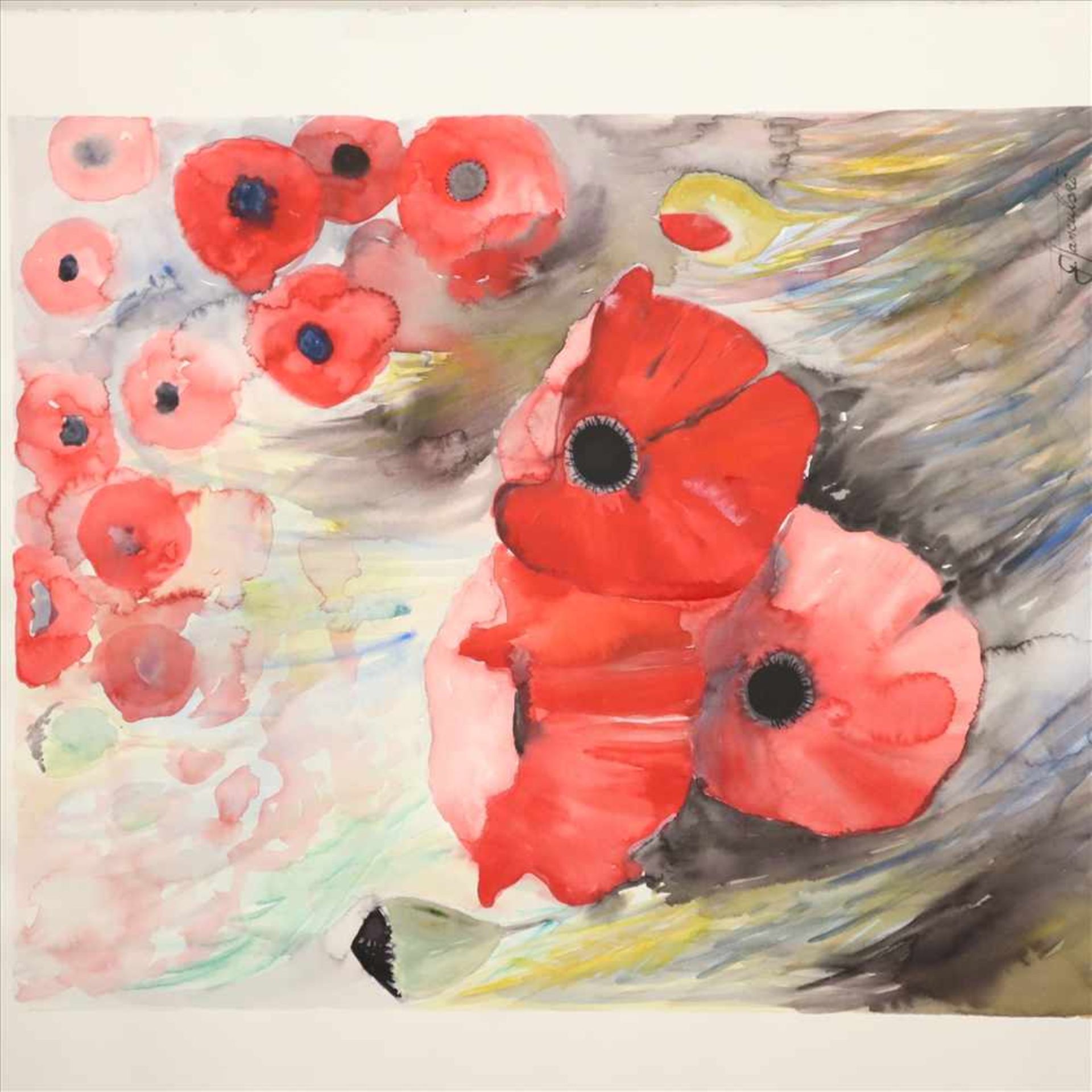 Tanculski, Gisela (*1946) - Mohnblumen, Aquarell auf Arches France (Wasserzeichen), unten rechts