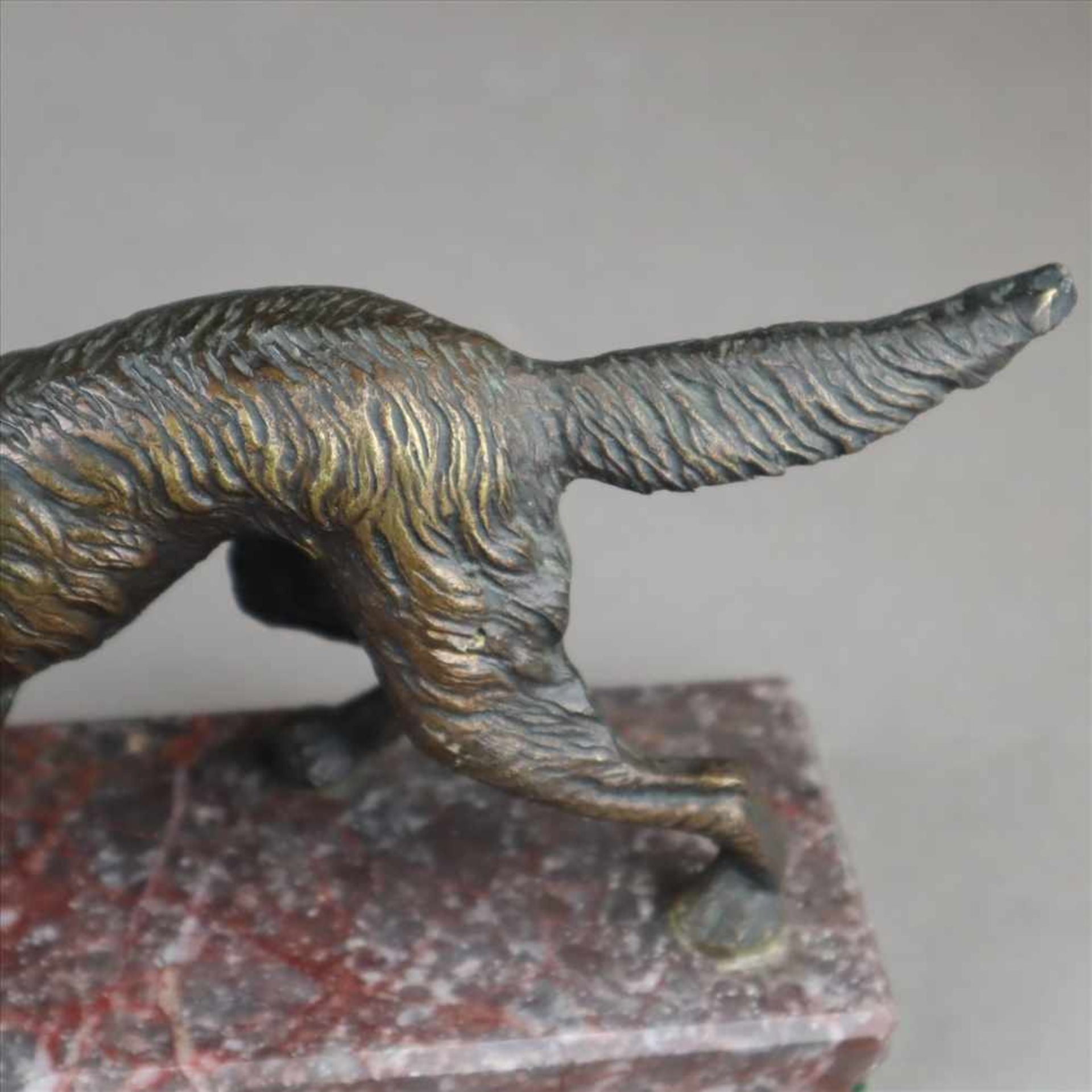 Jagdhund - Bronze dunkel patiniert, vollplastische naturalistische Darstellung eines Jagdhundes in - Bild 5 aus 5