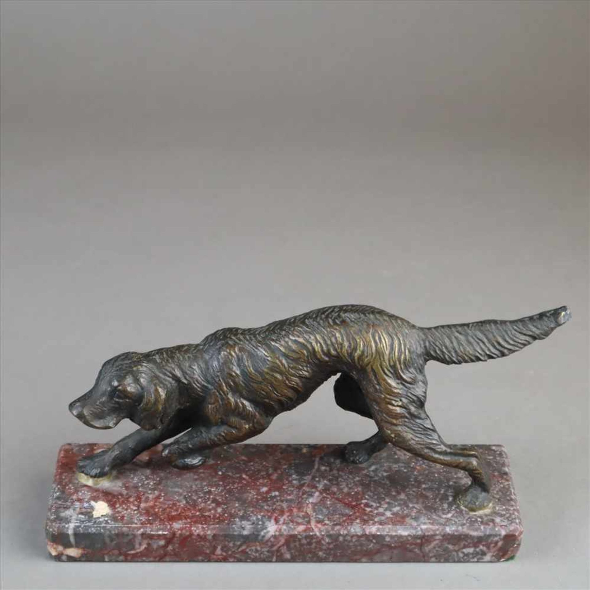 Jagdhund - Bronze dunkel patiniert, vollplastische naturalistische Darstellung eines Jagdhundes in