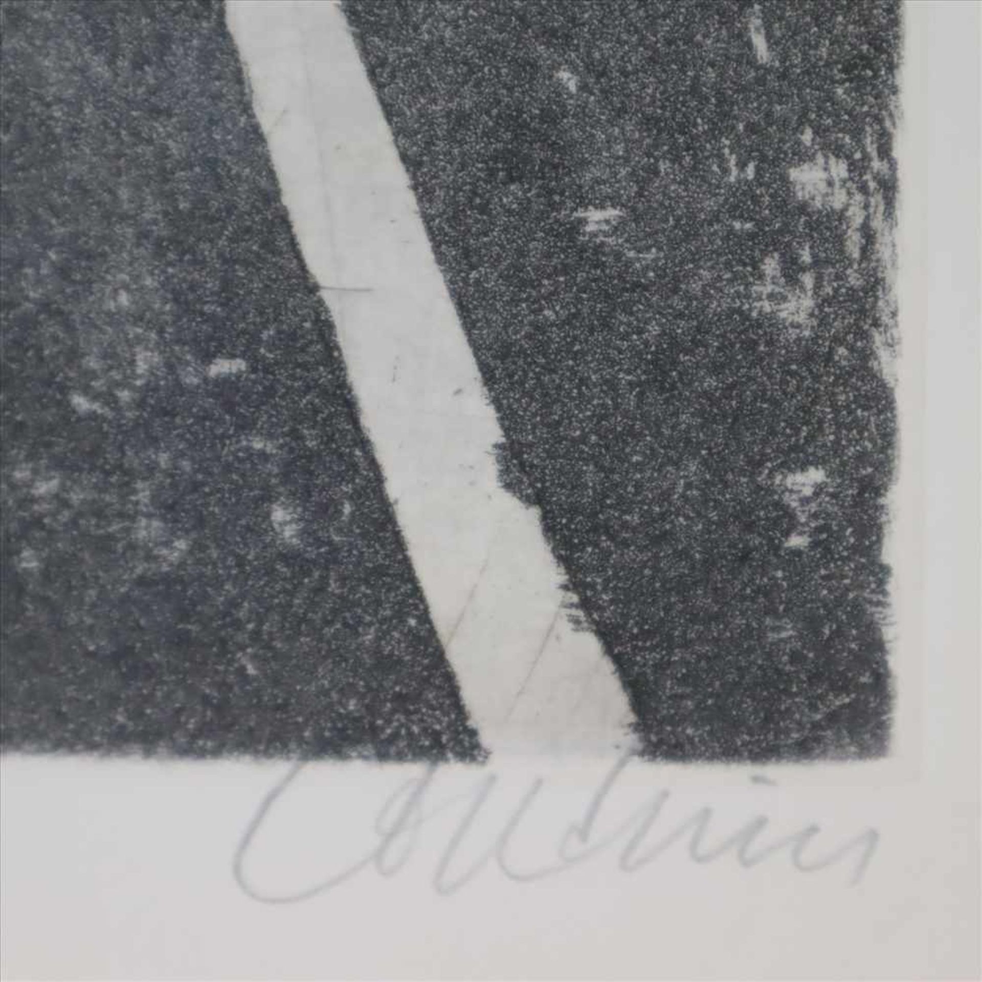 Coudrain, Brigitte (1934, Paris) - Pflanzenkomposition, Farbradierung, unten rechts in Bleistift - Bild 3 aus 3