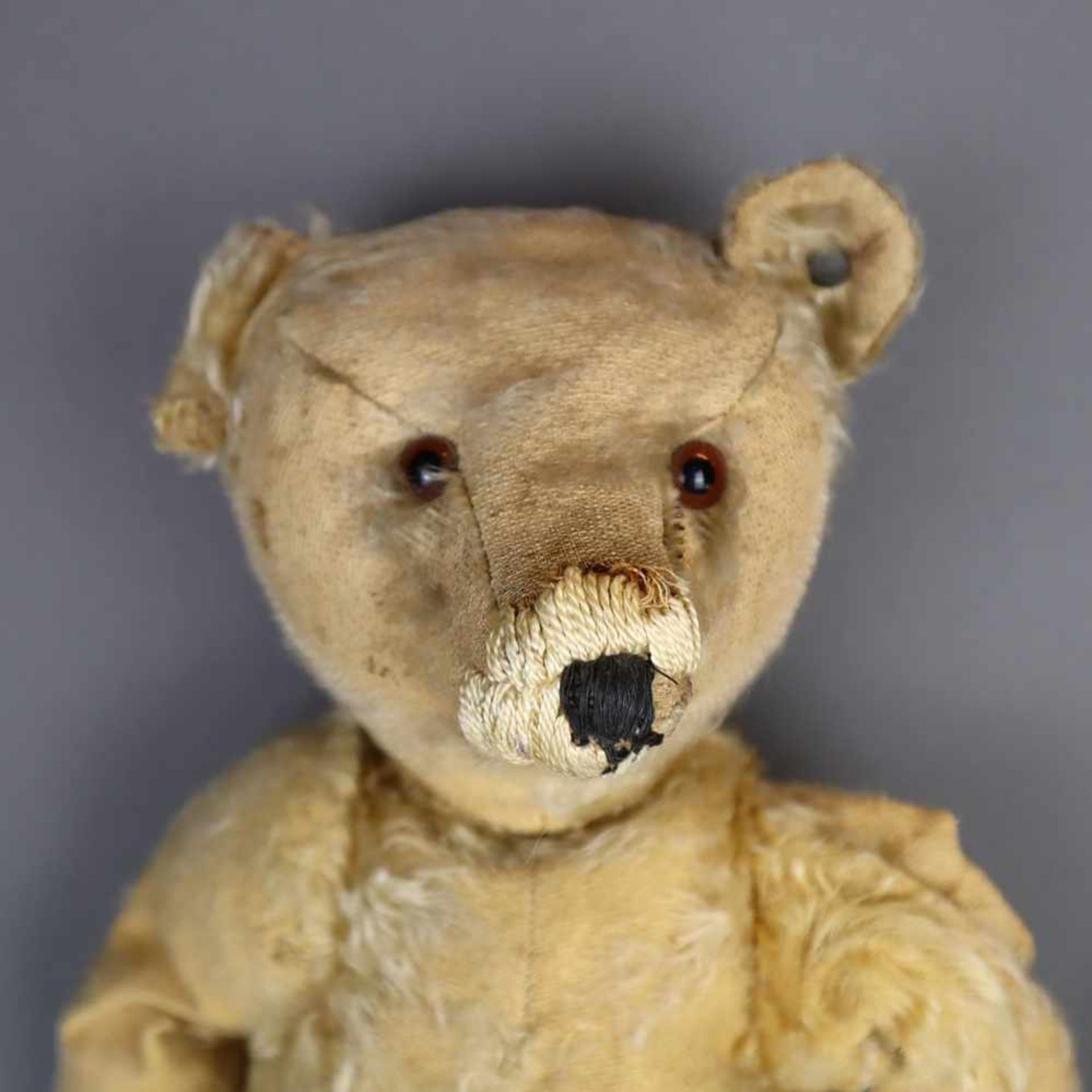 Alter Teddybär Steiff - Knopf mit langgezogenem "f", Mohair blond, lange Arme und Buckel, 5-fach - Bild 2 aus 10