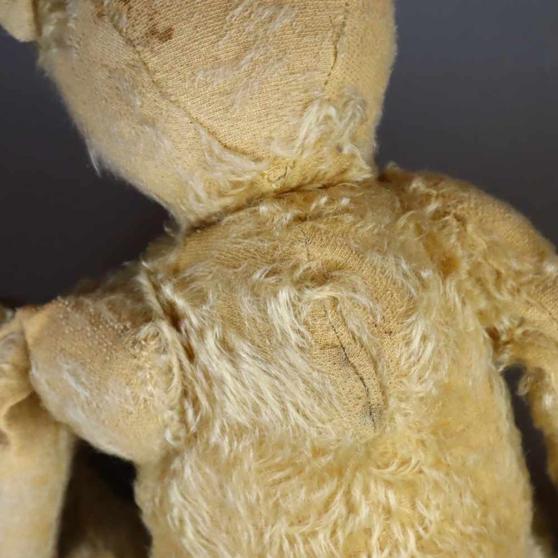 Alter Teddybär Steiff - Knopf mit langgezogenem "f", Mohair blond, lange Arme und Buckel, 5-fach - Bild 9 aus 10