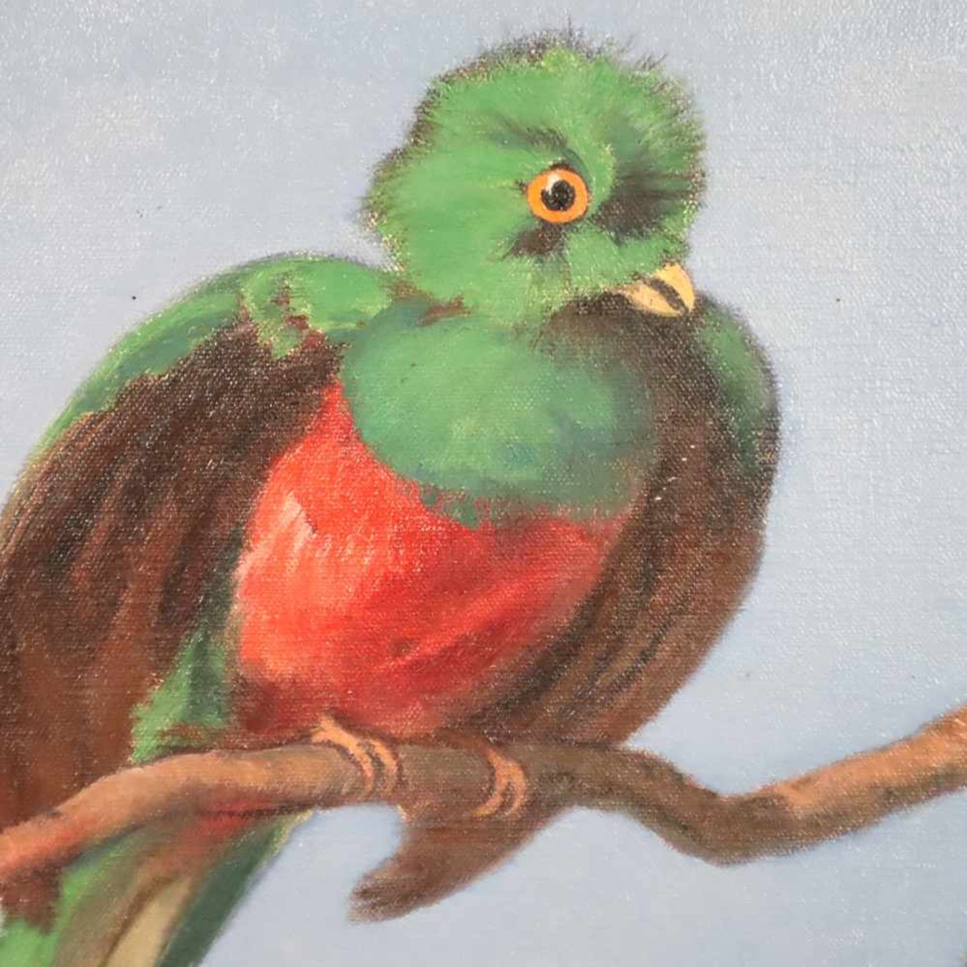 Bauer, Emil (1891-1960) - Paradiesvögel auf dem Ast, Öl auf Leinwand, u. li. sign., dat „1931“, - Bild 4 aus 5