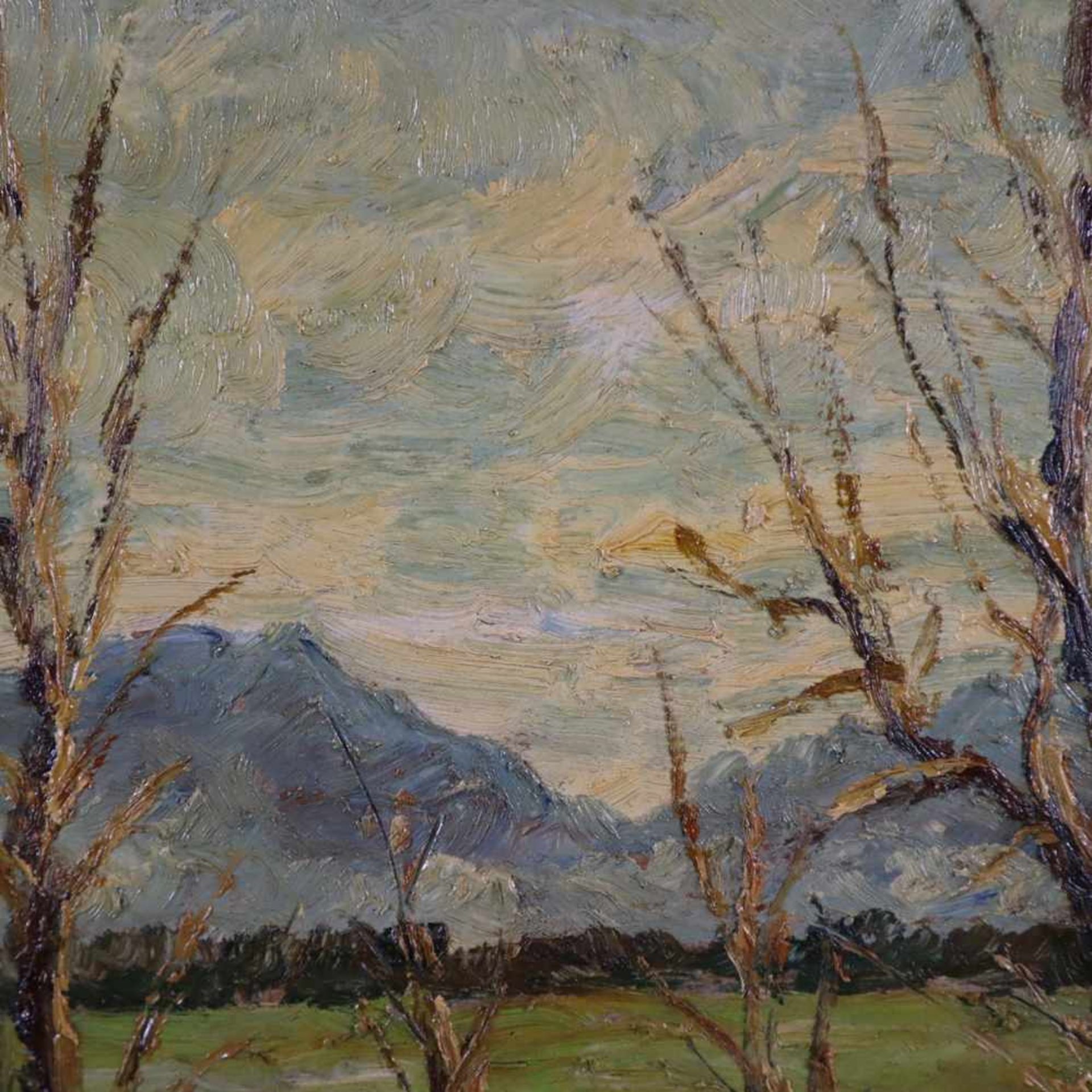 Agnetti, Ciro (geb.1913) - Herbstliche Gebirgslandschaft, Öl auf Hartfaserplatte, u. li. sign., ca. - Bild 2 aus 6