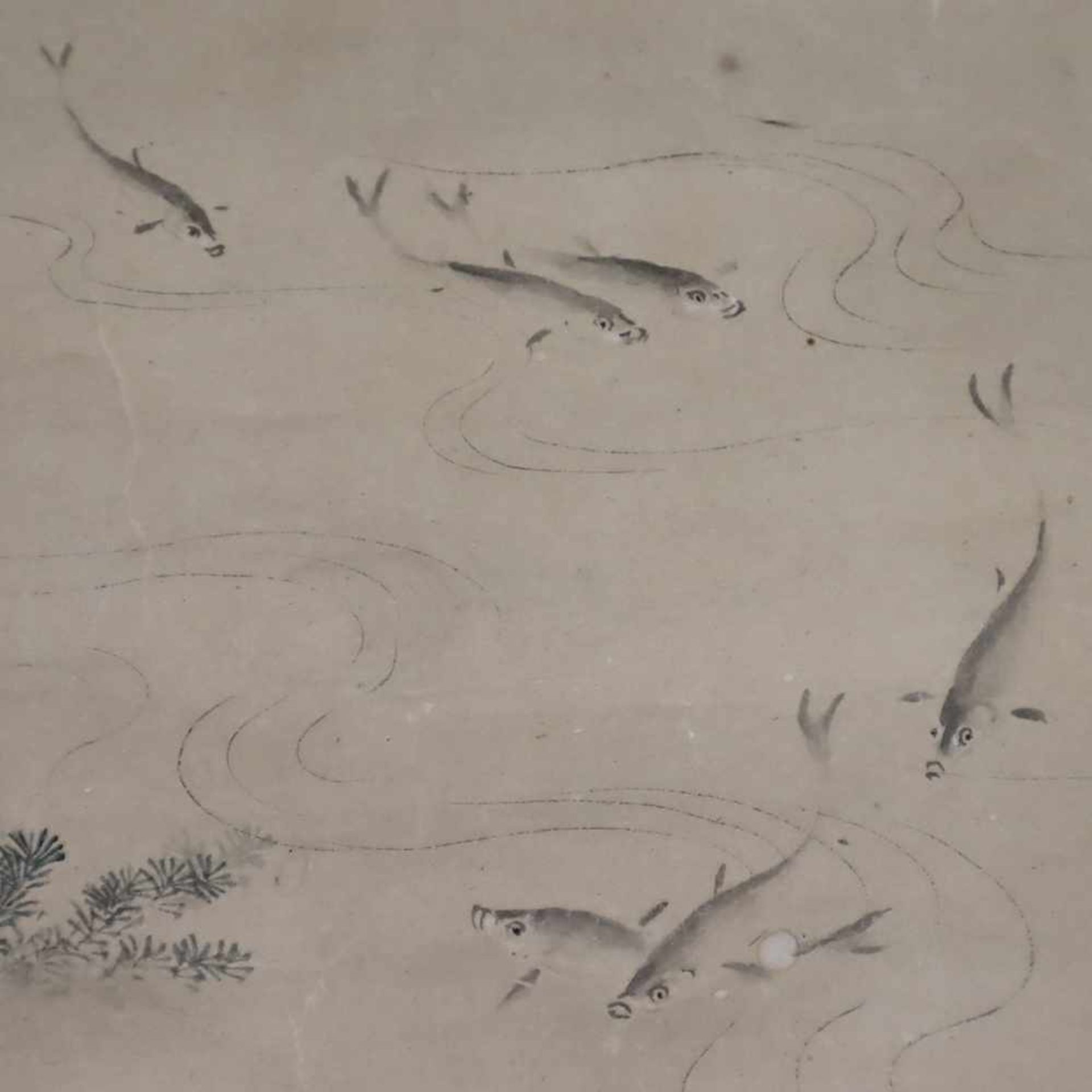 Koikarpfen im Teich mit Wasserpflanzen - Japan, Tusche/ Farbe auf Papier, signiert und gesiegelt, - Bild 4 aus 9