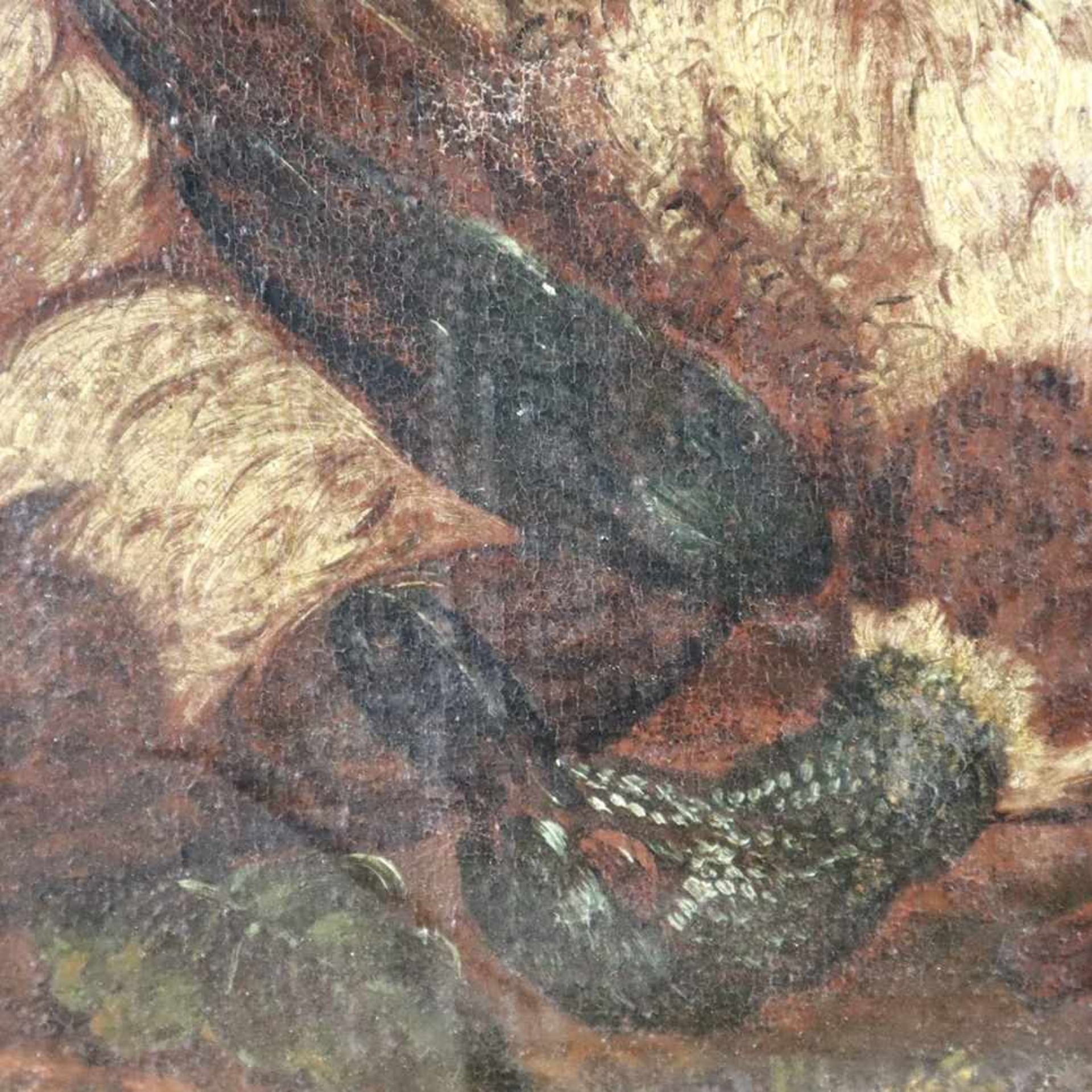 Barockmaler - Stillleben mit erlegter Ente und Singvogel (Buchfink), wohl spätes 18.Jh., Öl auf - Bild 3 aus 6