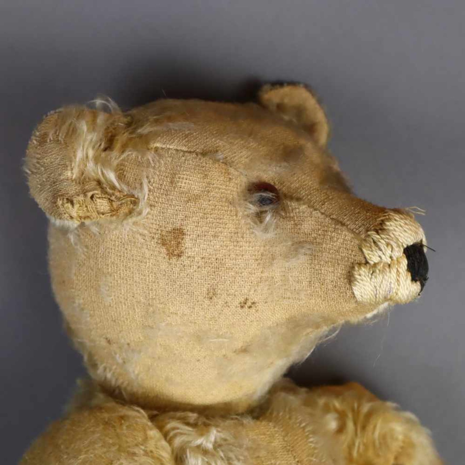 Alter Teddybär Steiff - Knopf mit langgezogenem "f", Mohair blond, lange Arme und Buckel, 5-fach - Bild 7 aus 10