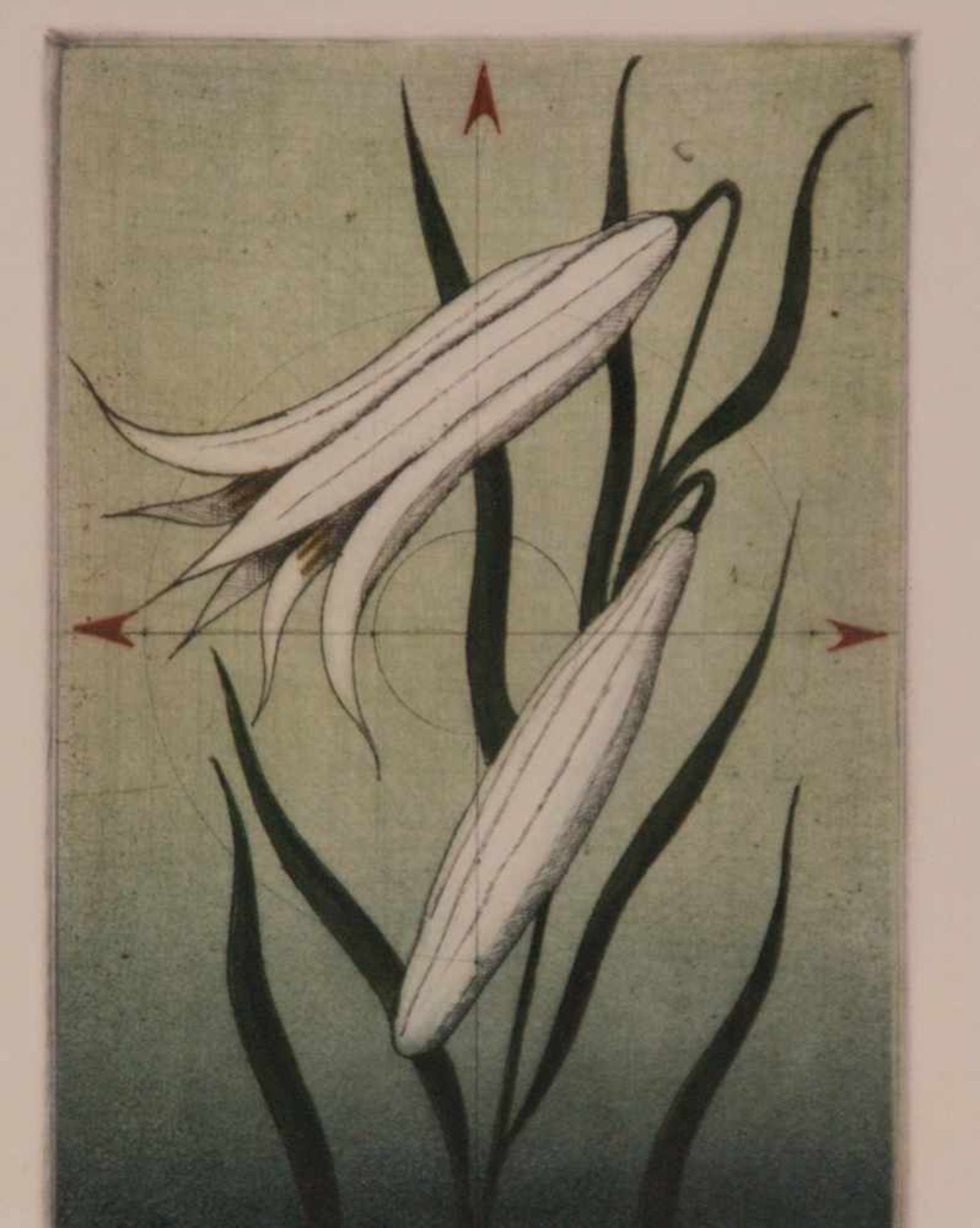 Janak, Alois (tschechischer Künstler geb. 1924 Schönpriesen) - 2 Farbradierungen: Blumen,in Blei - Bild 2 aus 4