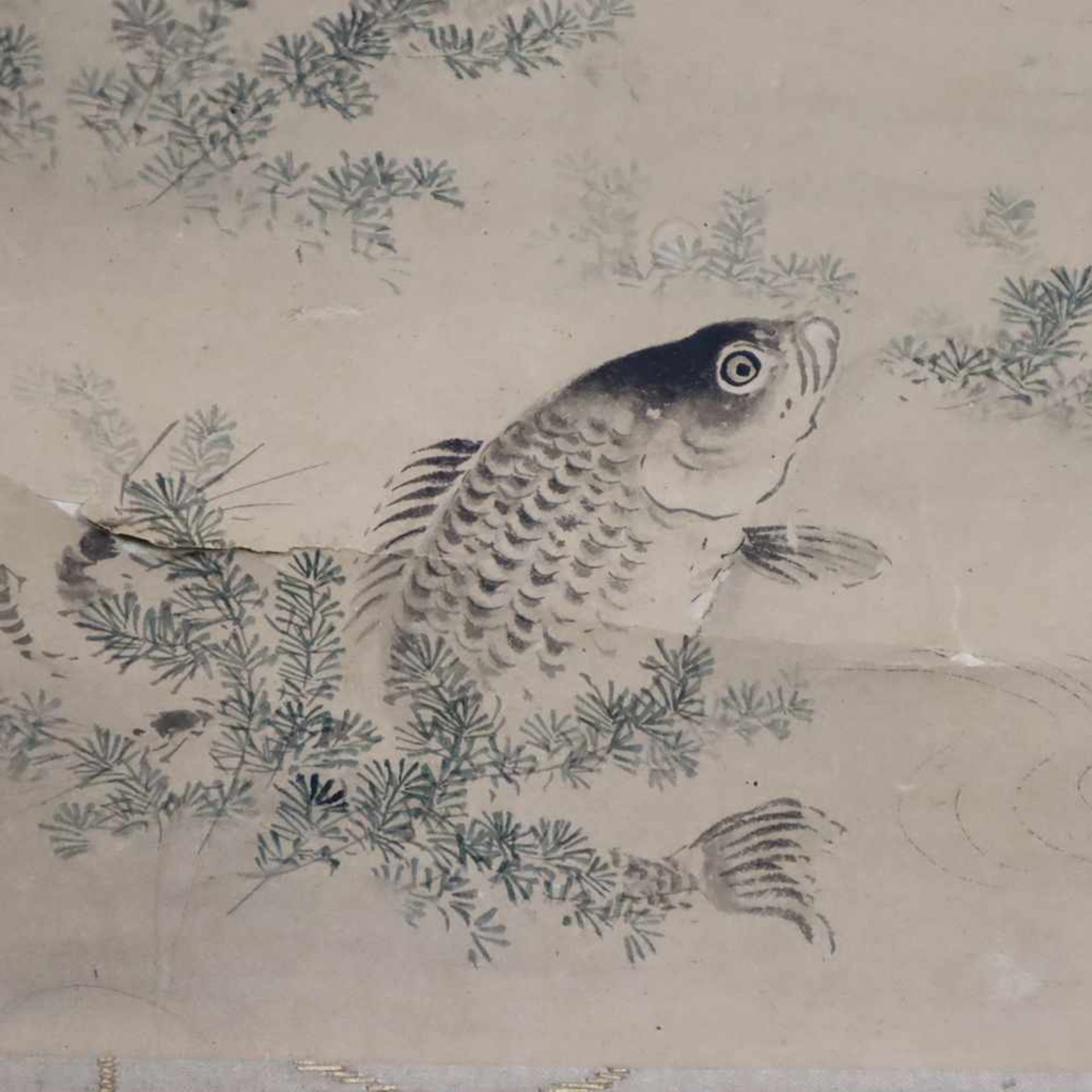 Koikarpfen im Teich mit Wasserpflanzen - Japan, Tusche/ Farbe auf Papier, signiert und gesiegelt, - Bild 3 aus 9