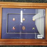 FRAMED UVF MONTAGE