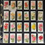 CIGARETTE CARDS WILLS - ROSES