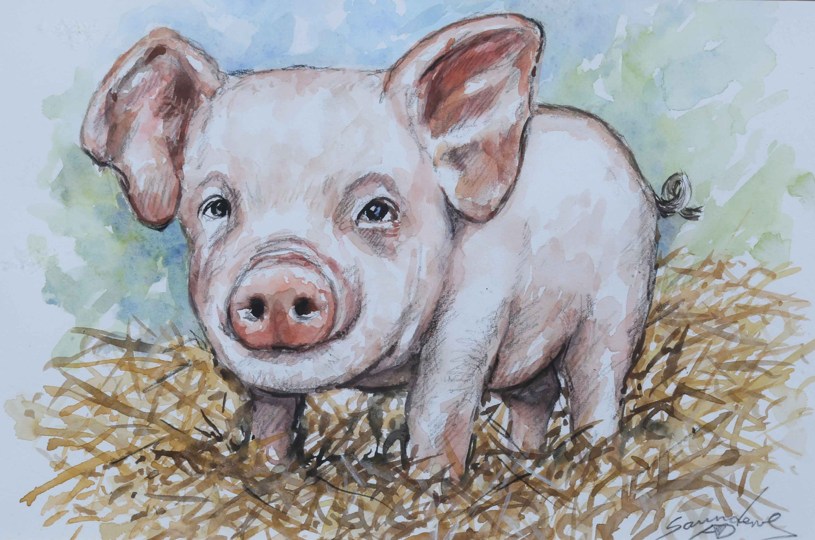 CUTE LITTLE PIGGY - ANDY SAUNDERS - OIL - 7 X 10