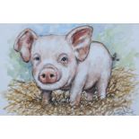 CUTE LITTLE PIGGY - ANDY SAUNDERS - OIL - 7 X 10