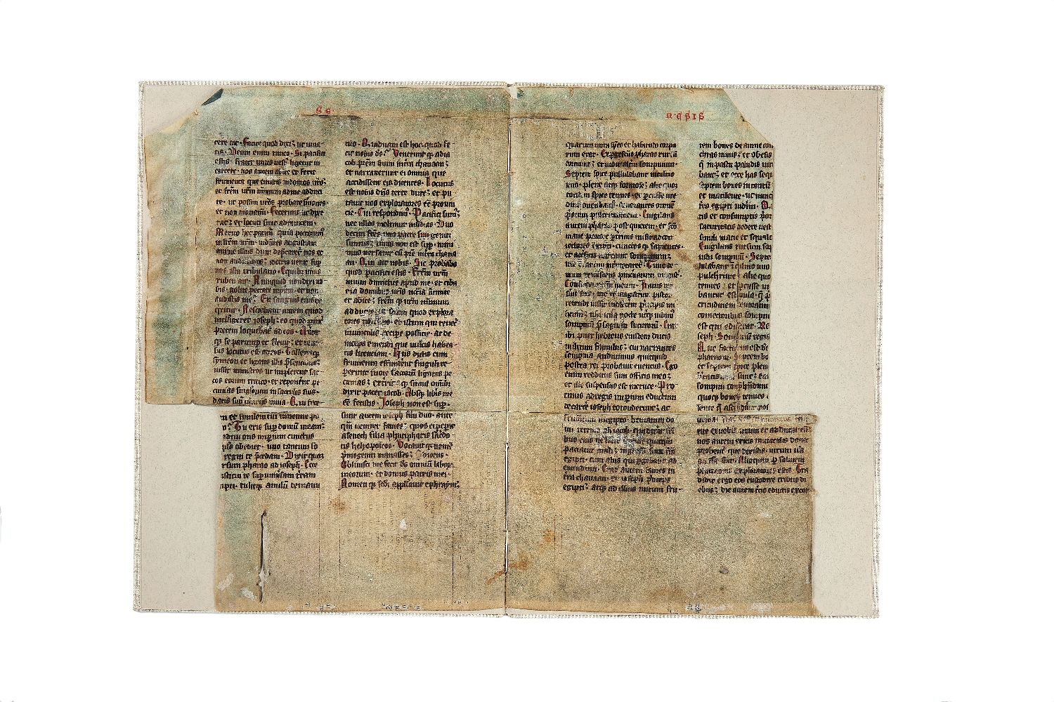 Large teaching collection of leaves from medieval manuscripts and charters