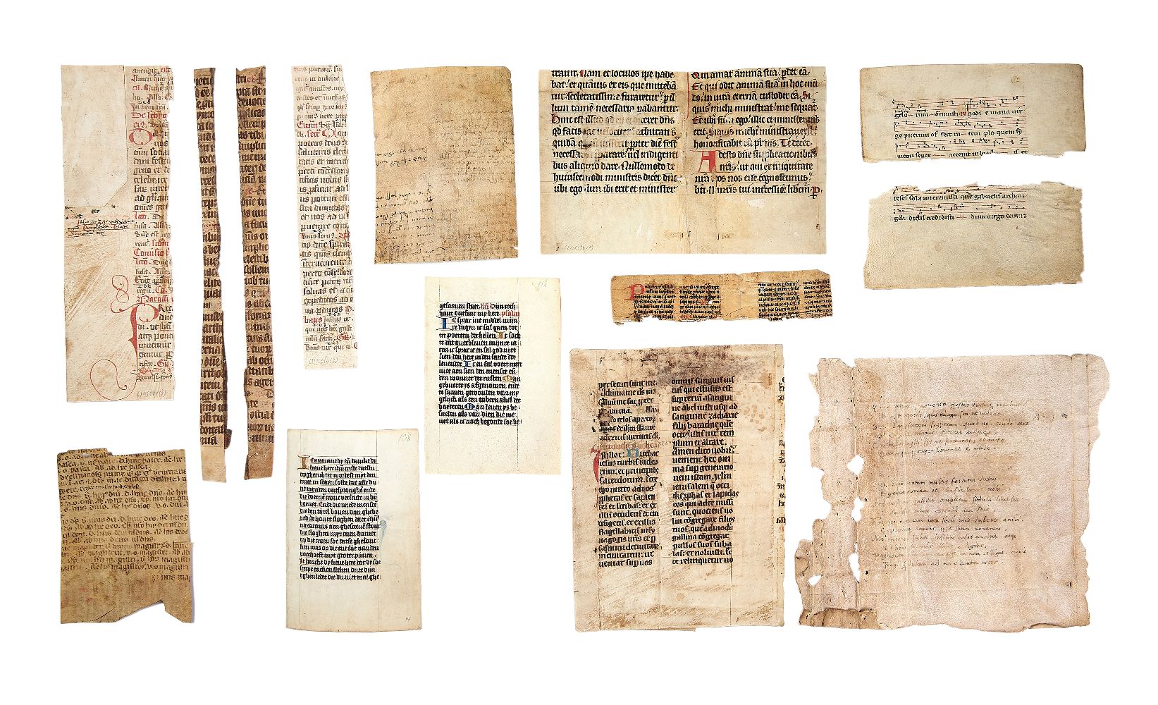 Large teaching collection of leaves from medieval manuscripts and charters - Image 2 of 2