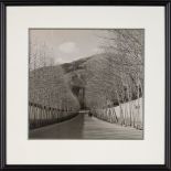 The Tree-lined road to Sa'adabad Palace, original photograph [Iran, Sa'adabad, c. 1960]