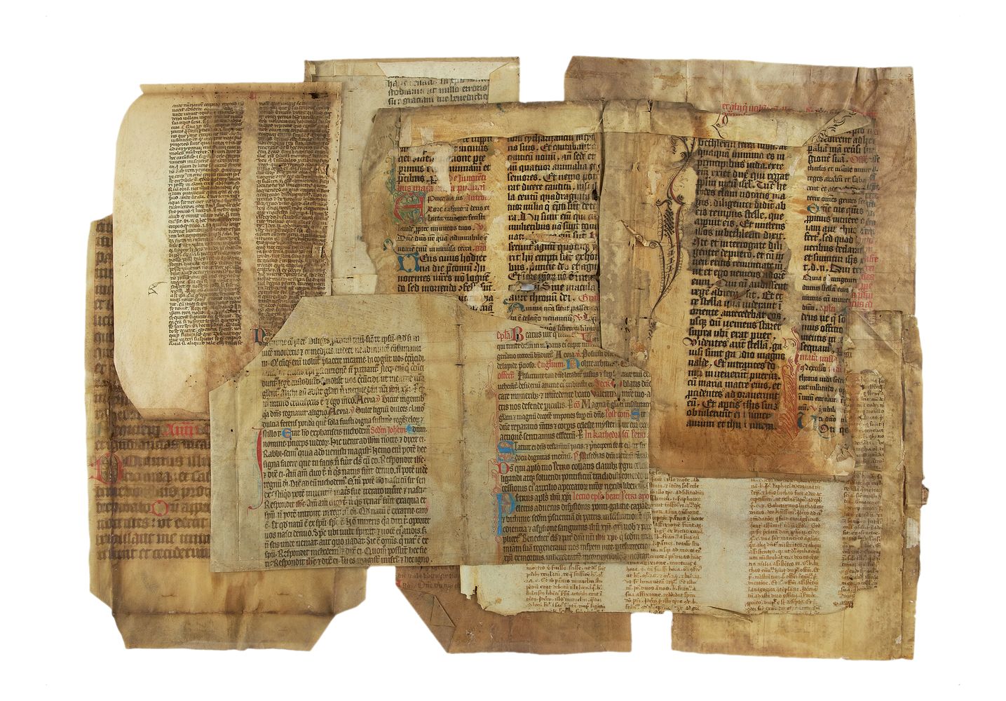 Collection of fragments from medieval manuscripts, all in Latin and on parchment