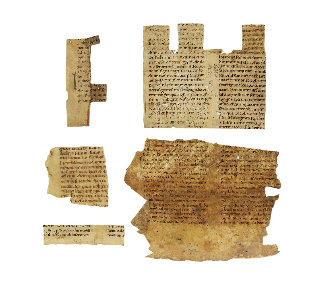Collection of small cuttings from Biblical and liturgical manuscripts, in Latin, on parchment