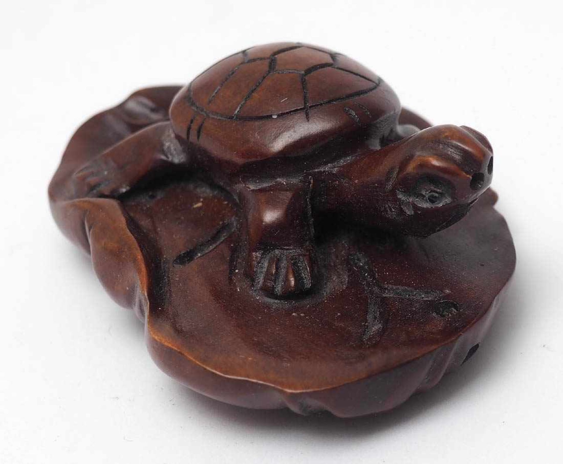 Netsuke, JapanBuchsbaumholz. Seerosenblatt mit Schildkröte. L.6cm.