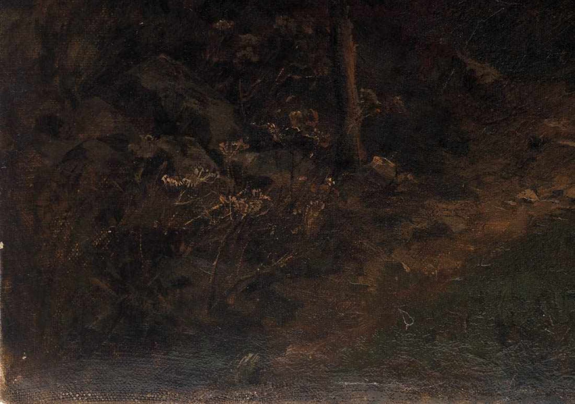 Von Herman, Hermine, geb. 1855Einsamer Waldsee im Morgenlicht, im Vordergrund unter den hohen Bäumen - Bild 7 aus 7