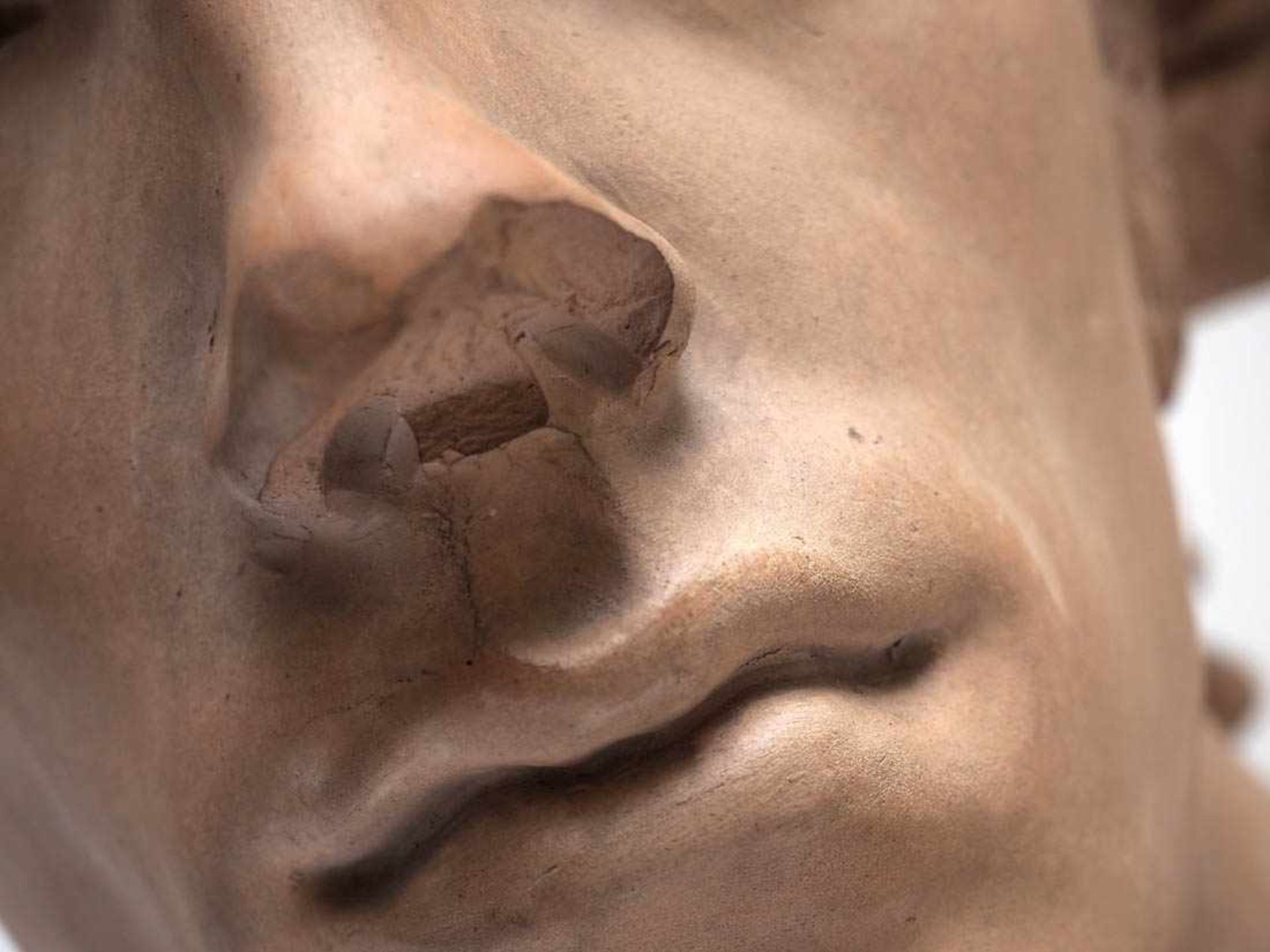 Tonbüste, 18.Jhdt.Auf profiliertem Sockel Büste eines jungen Mannes in römischem Gewand. Nase und - Bild 5 aus 6
