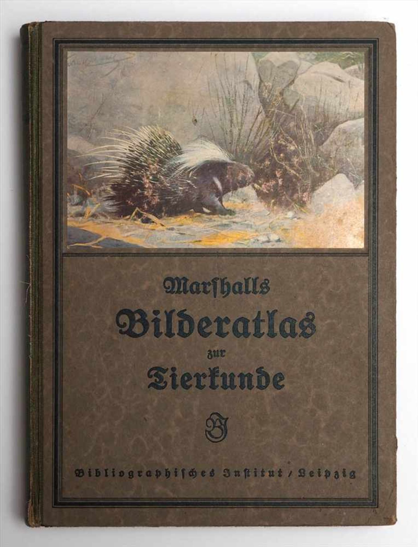 Marshall, William: Bilderatlas zur TierkundeZweite Auflage, Bibliographisches Institut, Leipzig,