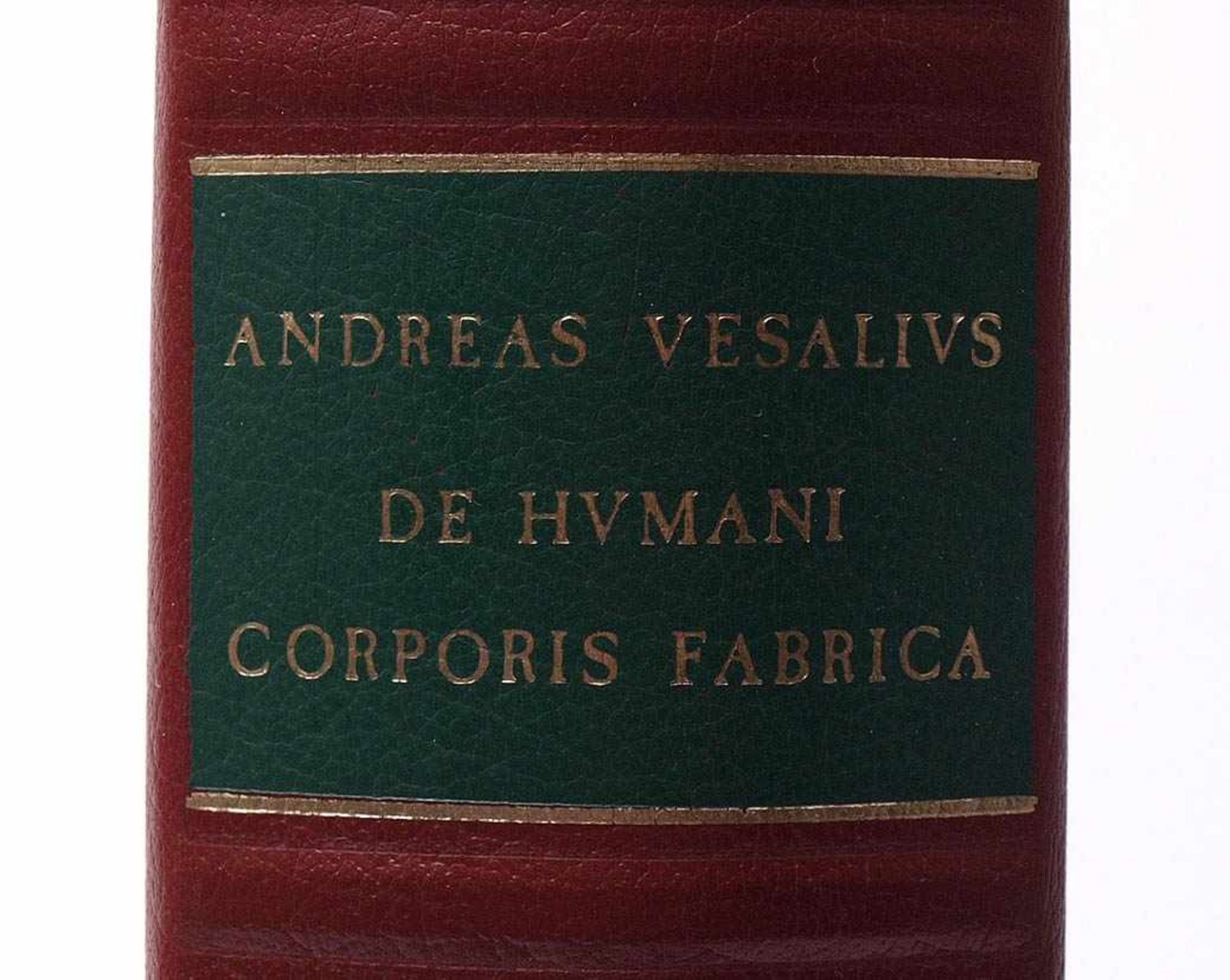 Vesalius, Andreas: De humani corporis fabrica libri septemFaksimile der Ausgabe Basel 1543 und - Bild 3 aus 11