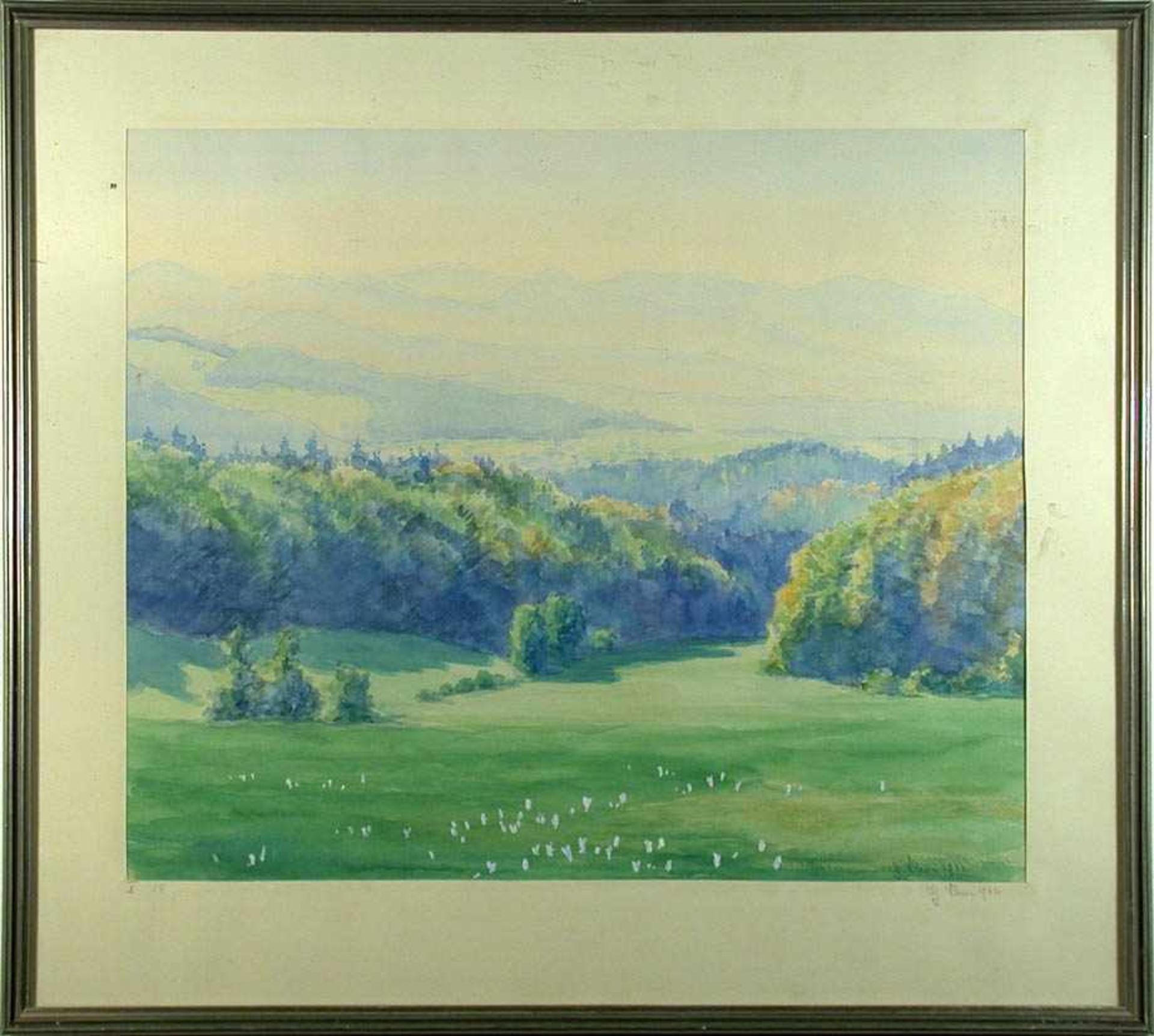 Schwan, G.Frühsommerlicher Blick vom Schwarzwald auf die im Dunst liegenden Vogesen. Im Tal ein