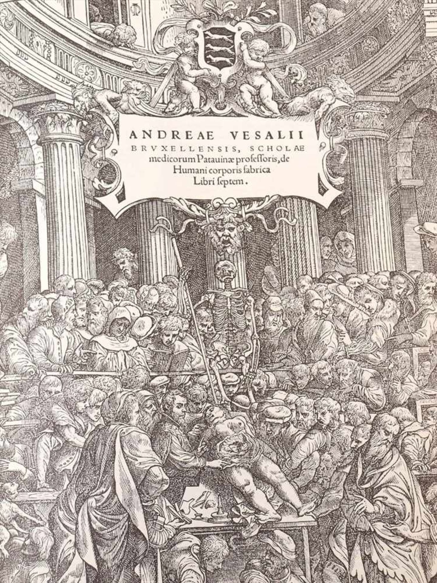 Vesalius, Andreas: De humani corporis fabrica libri septemFaksimile der Ausgabe Basel 1543 und - Bild 5 aus 11