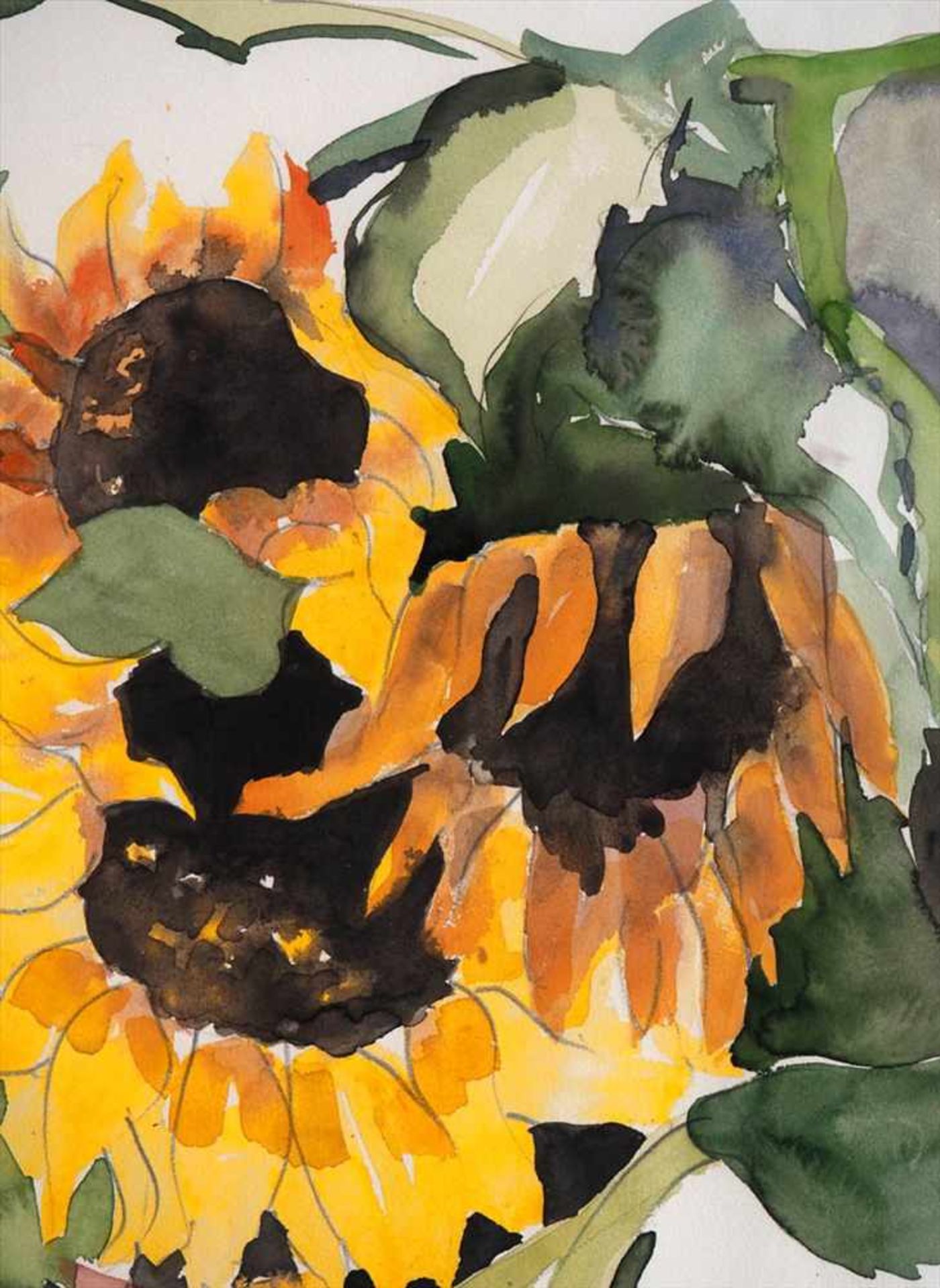 Schirmer, R.Sonnenblumenzweige. Aquarell über Bleistift, mittig sign. ger. Innenmaß des - Bild 3 aus 4