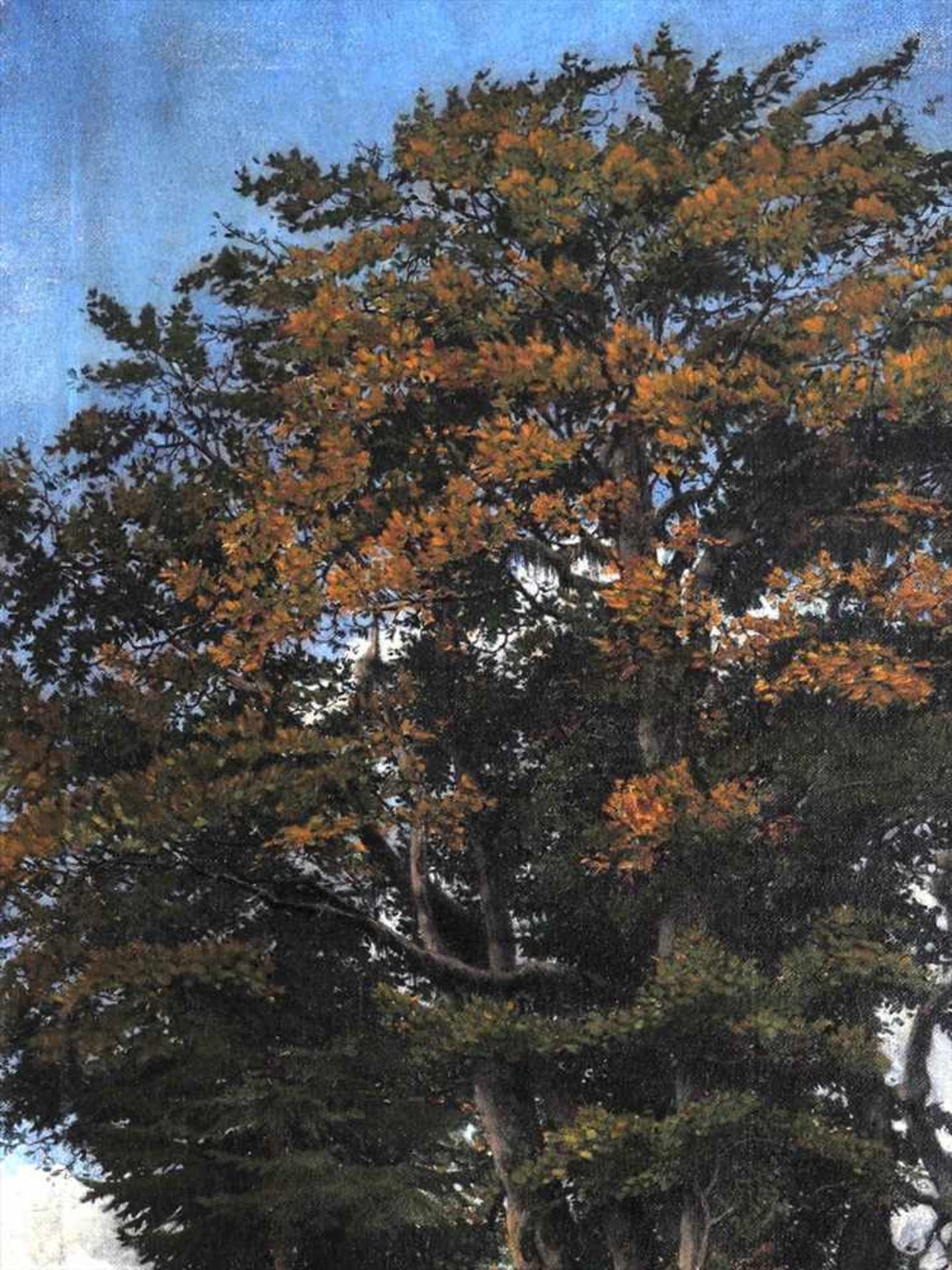 Dethleffs-Edelmann, Fridel, 1899 - 1982Mächtiger, bereits herbstlich verfärbter Baum unter - Image 5 of 7