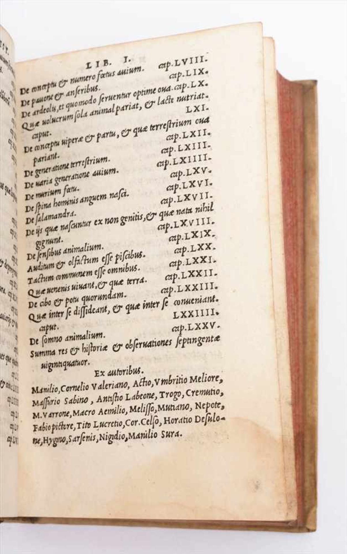 Plinius d.J.: "Naturalis Historiae Prima Pars", 1536Rot gefärbter Schnitt, Pergamenteinband, - Bild 3 aus 3