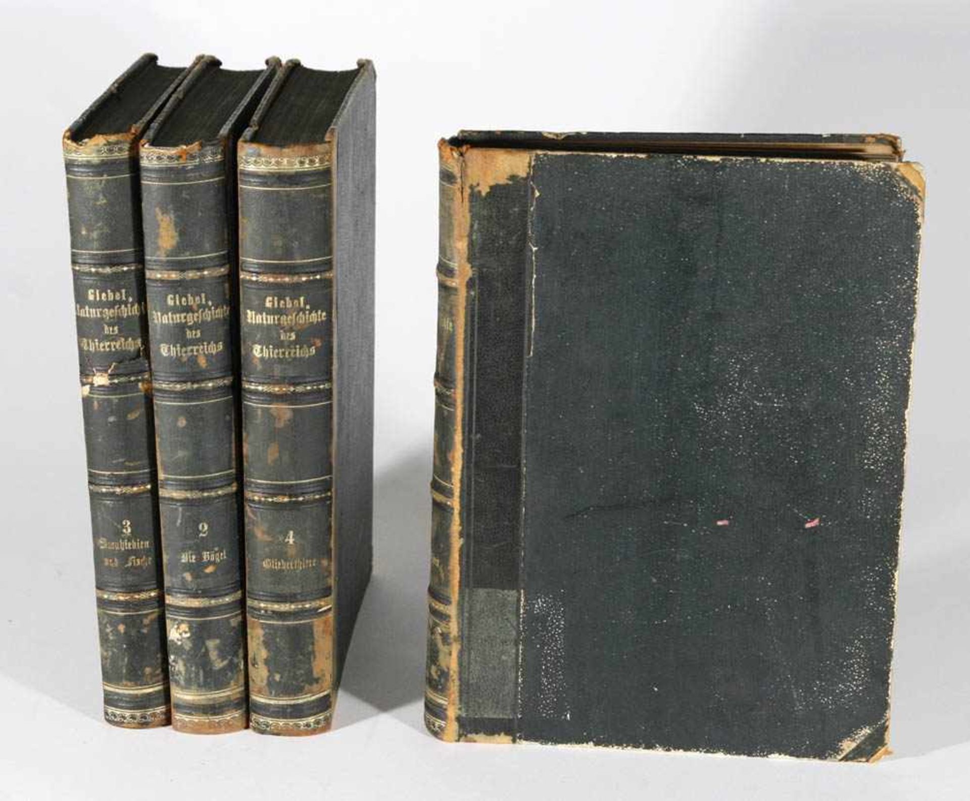 Giebel, C.G.Die Naturgeschichte des Thierreichs, 4 Bde., Wigand, Leipzig, 1859. Mit zahlreichen