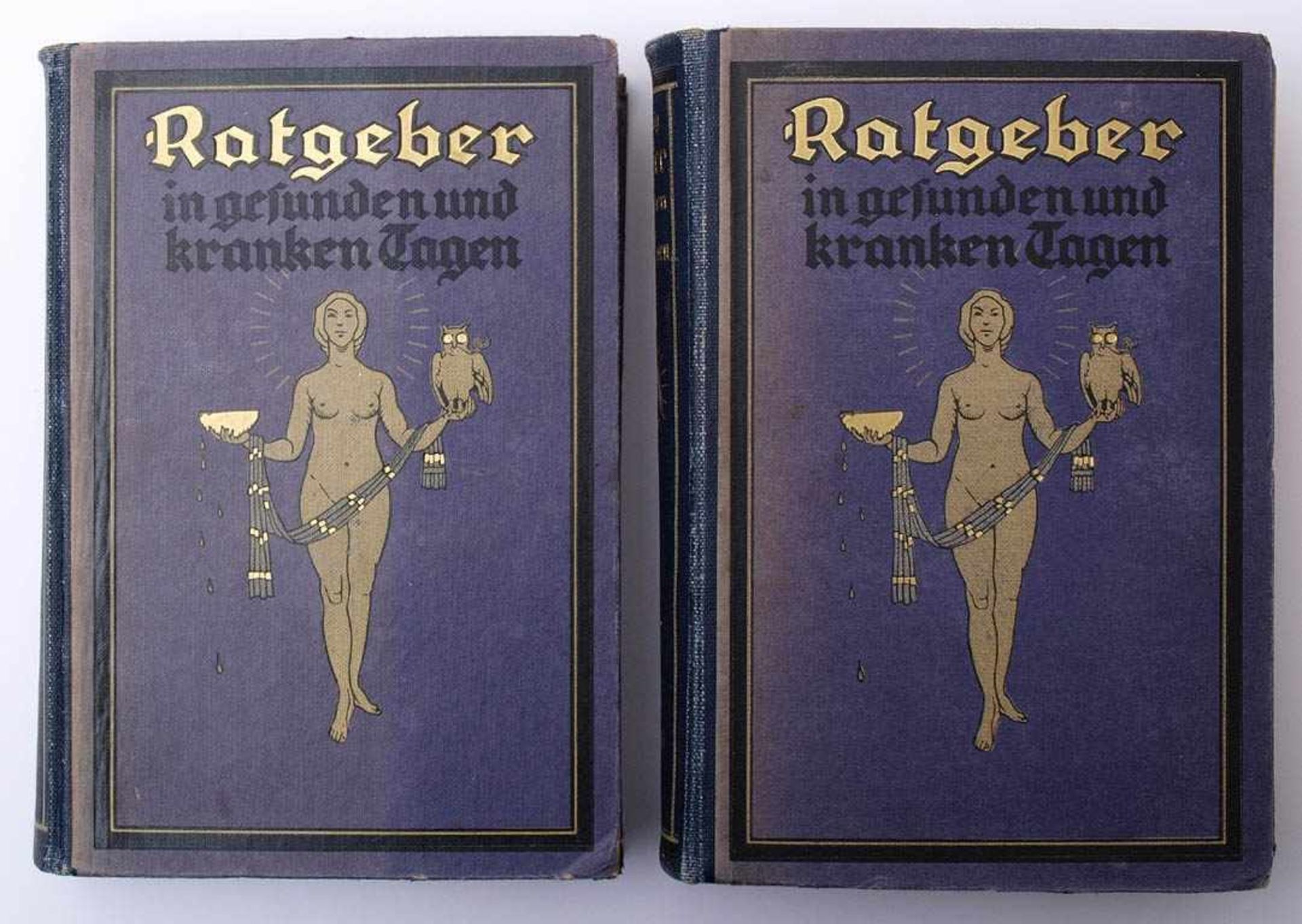 König, F.: Ratgeber in gesunden und kranken TagenBd. 1 und 2, Karl Meyer, Leipzig 1922. Mit farbigen